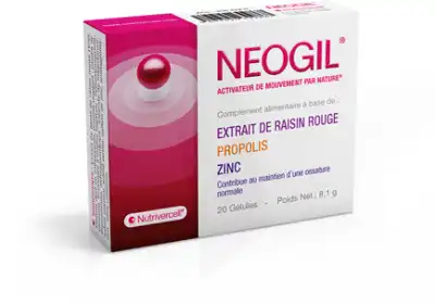 Neogil GÉl B/40 à VILLEFONTAINE