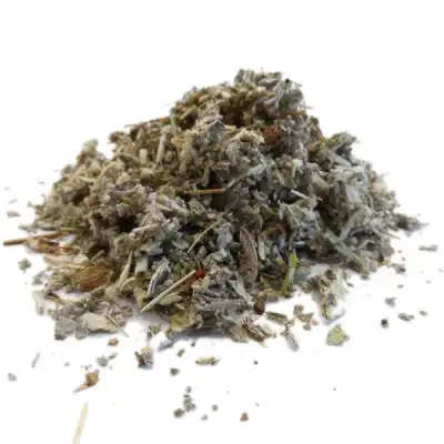 Sauge Officinale Feuille 100 Gr à MARIGNANE