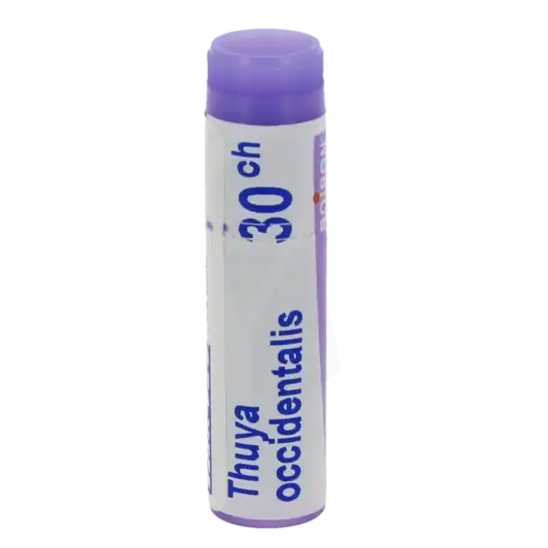 Boiron Thuya Occidentalis 30ch Globules Dose De 1g