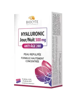 Biocyte Hyaluronic Jour/nuit 270mg Cpr + GÉlule B/60 à Aubervilliers