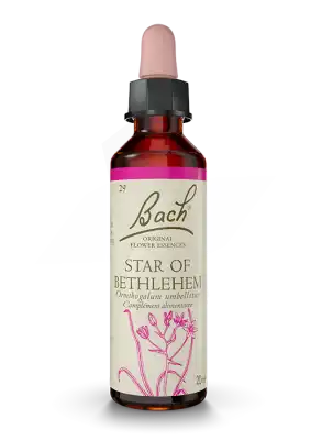 Fleurs De Bach® Original Star Of Bethlehem - 20 Ml