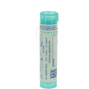 Boiron Echinacea Angustifolia 4dh Granules Tube De 4g
