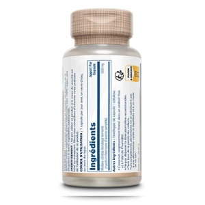 Solaray Maitaké Fermenté 500mg Capsules Végétales B/60