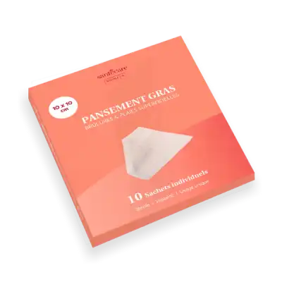 Santecare Pansement Gras 10x10cm Boîte De 10 à MIRAMONT-DE-GUYENNE