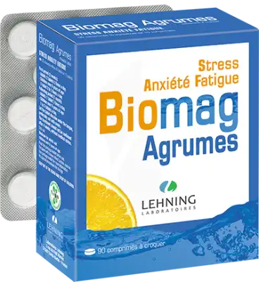 Lehning Biomag Comprimés à Croquer Agrumes B/90 à ST-ETIENNE-DE-TULMONT