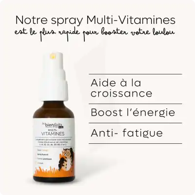 Les Bienfaits Multi Vitamines Spray Flacon De 20 Ml à SAINT-PRIEST