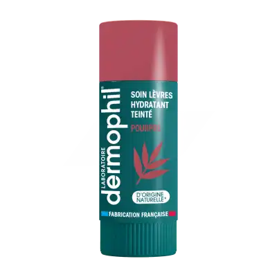 Dermophil Indien Stick Soin Teinté Pourpre 4 G à LIVRON-SUR-DROME