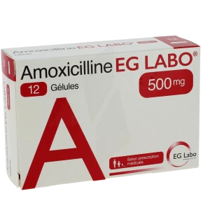 Amoxicilline Eg Labo 500 Mg, Gélule