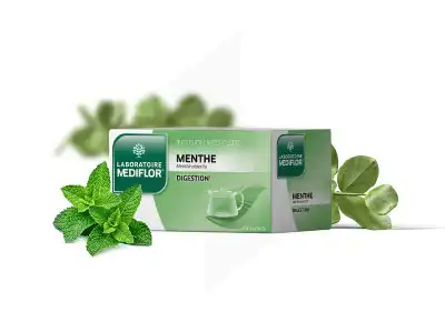 Mediflor Menthe Tisane 24 Sachets à Courbevoie
