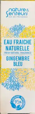 Nature & Senteurs De Provence Eau FraÎche Gingembre Bleu Vapo/50ml à CHAMBÉRY