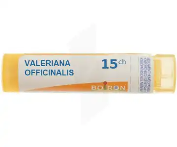 Boiron Valeriana Officinalis 15ch Granules Tube De 4g à Savenay