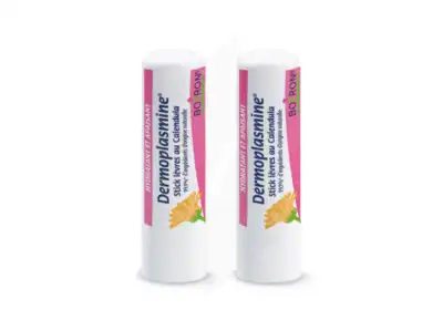 Boiron Dermoplasmine Stick Lèvres Au Calendula 2 Sticks/4g à BARCARÈS (LE)