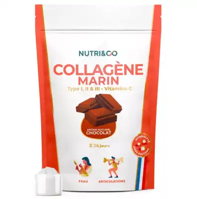 Nutri&co Collagène Marin Cacao Poudre Sachet/240g à Gujan-Mestras