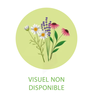 Holistica Flower Complex N°2 Deref