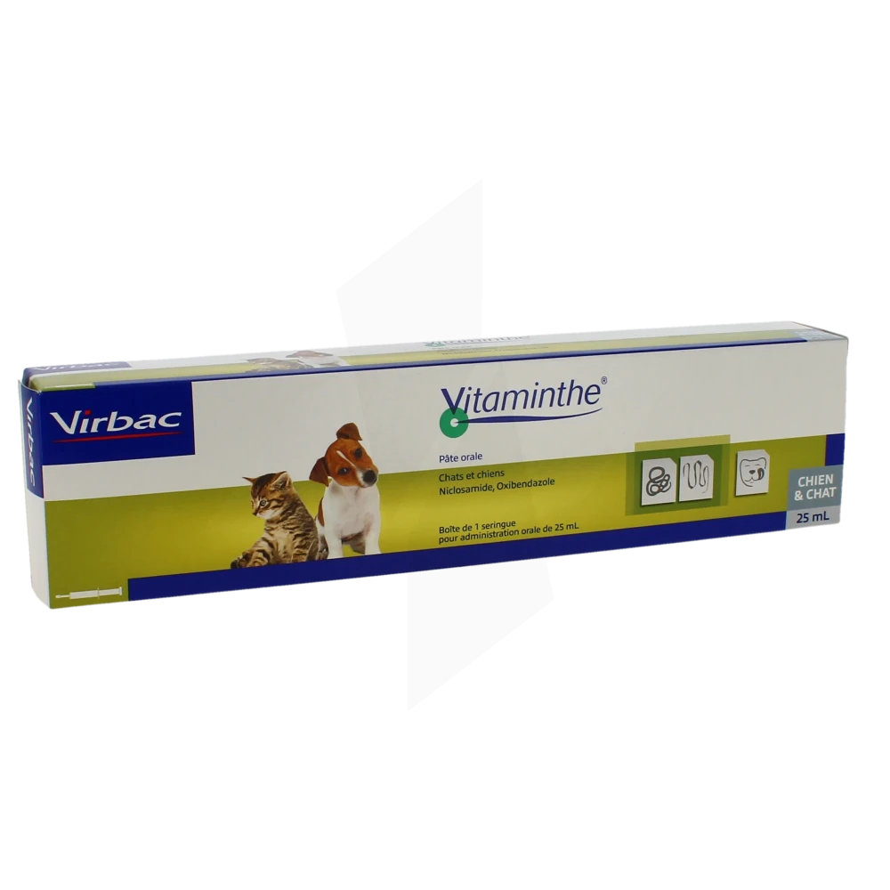 Vitaminthe, Pâte Orale