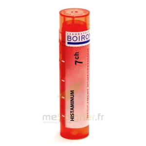 Boiron Histaminum 7ch Granules Tube De 4g