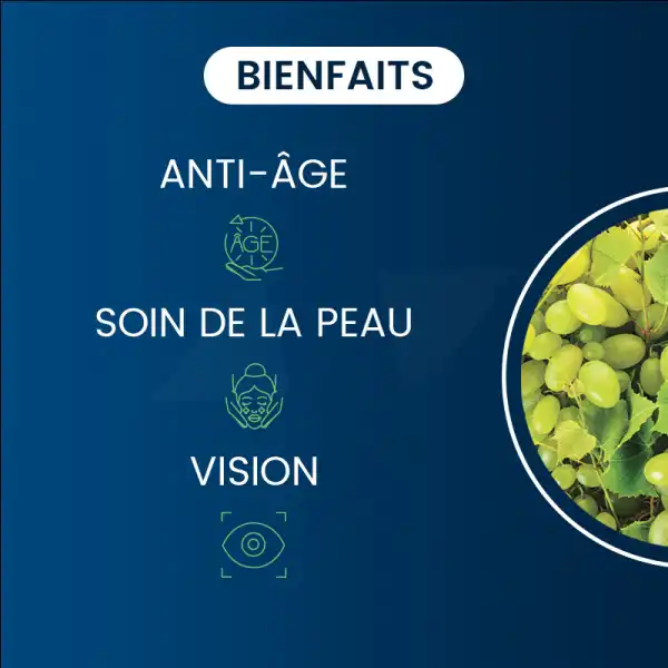 Dynveo Opc Extrait De Pépins De Raisin 96% Polyphénols 150mg 60 Gélules