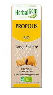 Herbalgem Propolis Large Spectre Solution Buvable Bio Fl Cpte-gttes/15ml à VILLENAVE D'ORNON