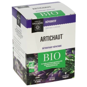 Dayang Artichaut Bio 20 Ampoules