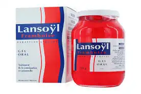 LANSOYL FRAMBOISE, gel oral en récipient unidose