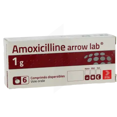 AMOXICILLINE ARROW LAB 1 g, comprimé dispersible
