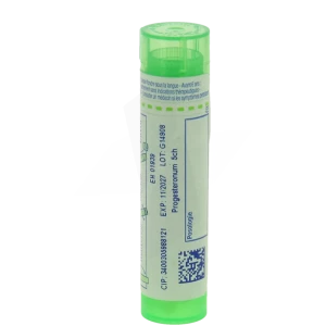 Boiron Progesteronum 5ch Granules Tube De 4g