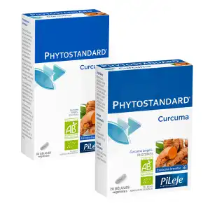 Pileje Phytostandard - Curcuma 20 Gélules Végétales à Harly