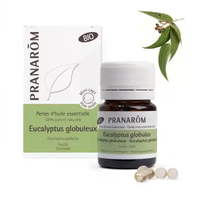 Pranarôm Eucalyptus Globuleux Perles Bio B/60 à MONTAIGUT-SUR-SAVE