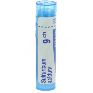 Boiron Sulfuricum Acidum 9ch Granules Tube De 4g