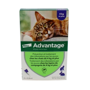 Advantage 80 Pour Chat Et Lapin, Solution Pour Spot-on