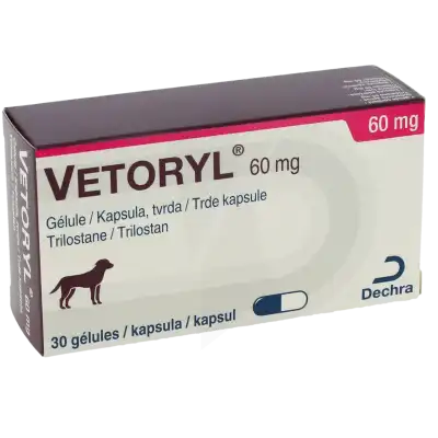 VETORYL 60 MG GELULES POUR CHIENS, Gélule