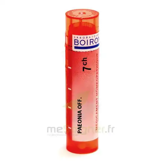 Boiron Paeonia Officinalis 7ch Granules Tube De 4g