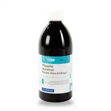 Eps Phytostandard Piloselle Extrait Fluide Fl/500ml à Hendaye