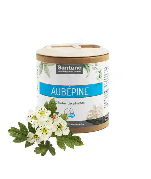 Santane Aubépine Gélules De Poudre De Plantes 200mg B/60