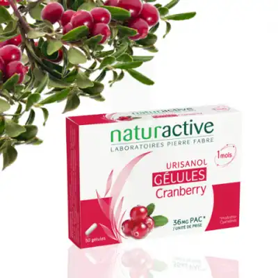 Urisanol Gélules Visées Urinaire 2*b/30 à CANEJAN