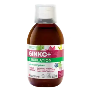 Ginko+ Circulation S Buv Fl/250ml à Poitiers