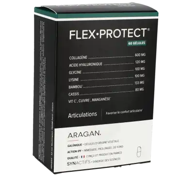 Synactifs Flexprotect Gélules B/60 à Harly