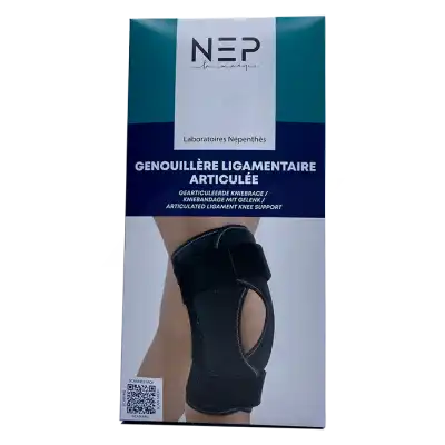 Nep Confort Att Gen Universe H40cm T1 à Le Plessis-Robinson