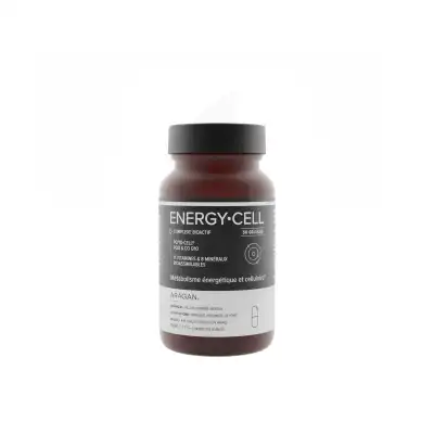 Aragan Synactifs Energy Cell Gélules B/50