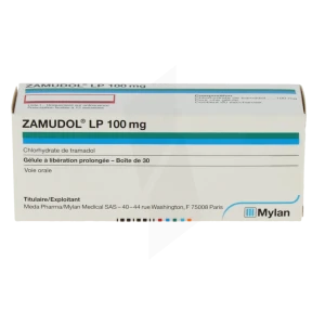 Zamudol Lp 100 Mg, Gélule à Libération Prolongée