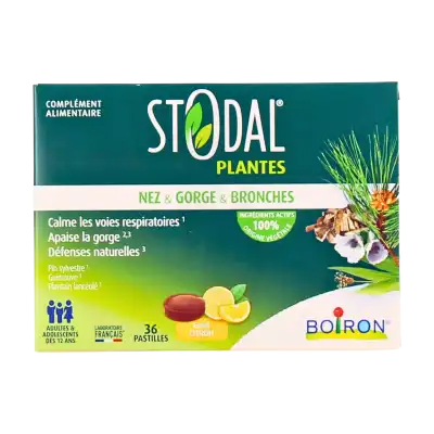 Stodal Plantes Pastilles Citron Boîte De 36 à AIX-EN-PROVENCE
