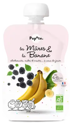 Popote Mûres & Banane Bio Gourde/120g à Montricoux