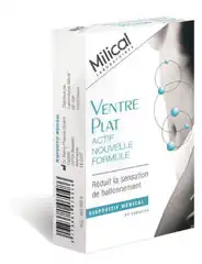 Milical Actif Nouvelle Formule Ventre Plat, Bt 40 à MAUVEZIN