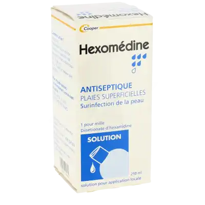 Hexomedine 1 Pour Mille S Appl Loc Fl/250ml à STRASBOURG