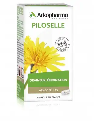 Arkogélules Piloselle Gélules Fl/45 à CHAMPAGNOLE