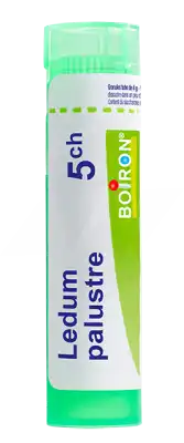 Boiron Ledum Palustre 5ch Granules Tube De 4g à TOULON
