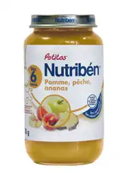 Nutribén Potitos Alimentation Infantile Pomme Pêche Ananas Pot/250g