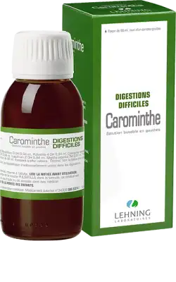 Lehning Carominthe Solution Buvable En Gouttes Fl/90ml à STRASBOURG
