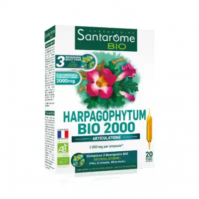 Santarome Bio Harpagophytum 2000 Solution Buvable 20 Ampoules/10ml à MONTEUX