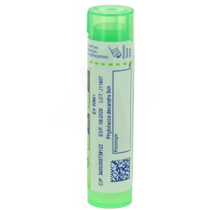 Boiron Phytolacca Decandra 5ch Granules Tube De 4g